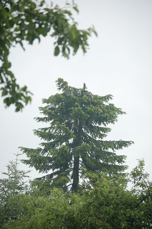 Sturm verursacht Sch&auml;den