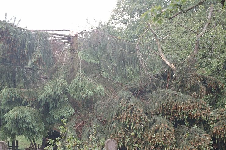 Sturm verursacht Sch&auml;den