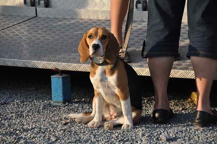 Frauen-Nacht auf den Jahrmarkt