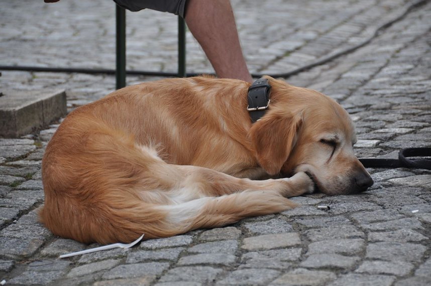 Aktionstag Nordhausen ist bunt