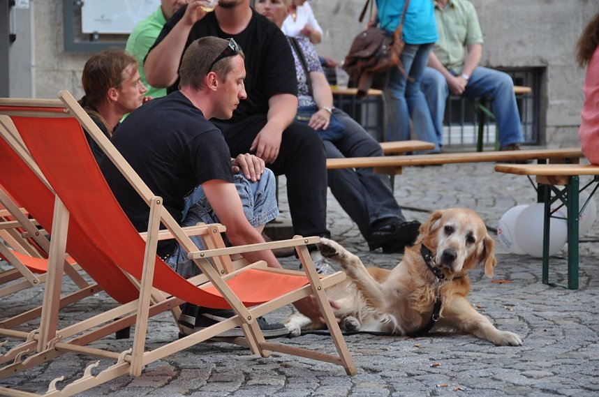 Aktionstag Nordhausen ist bunt
