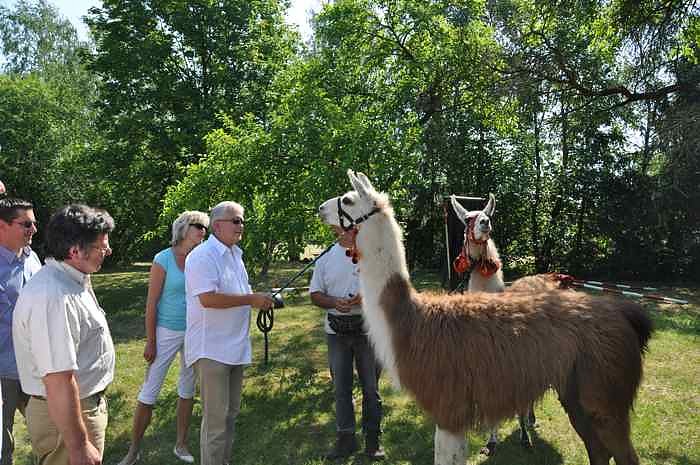 Familienspieltag in Rottleberode