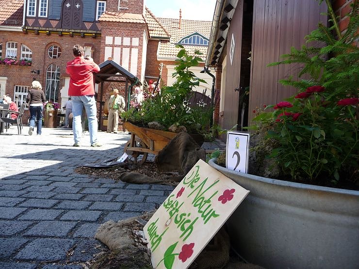 Nachwuchsfloristen ermitteln den Besten