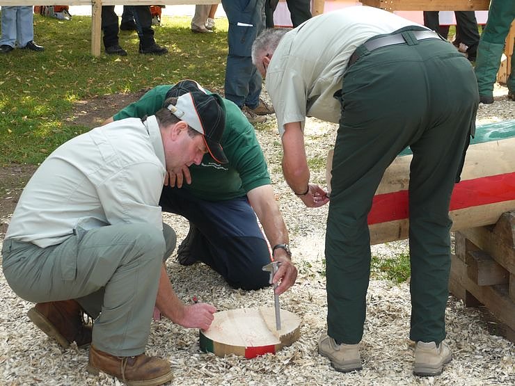 Waldarbeiter suchen ihren Meister