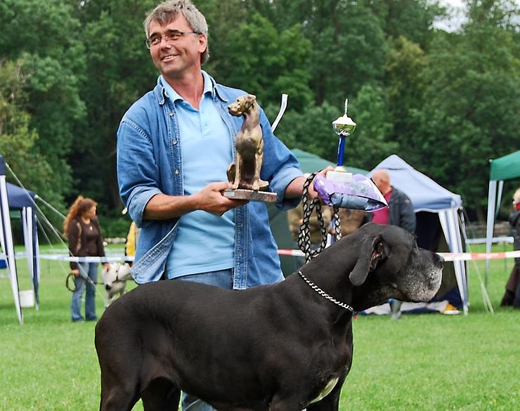 Doggen auf dem Possen