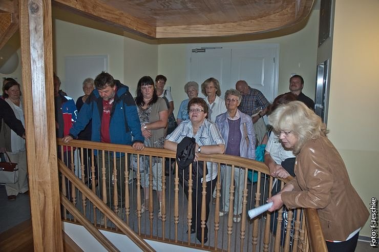 Neugierig auf den Sonnenschein