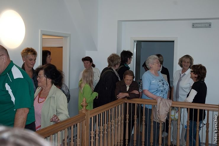 Neugierig auf den Sonnenschein