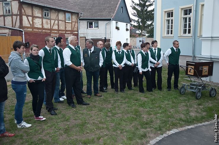 Neugierig auf den Sonnenschein