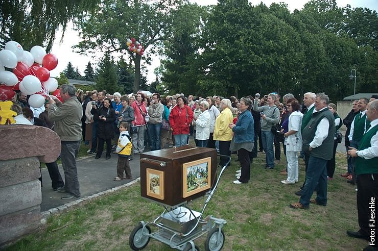 Neugierig auf den Sonnenschein