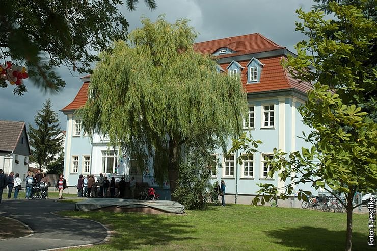 Neugierig auf den Sonnenschein