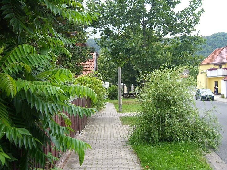 150 Jahre Gartenstra&szlig;e