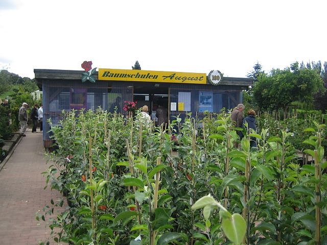 Rosenschautag in Ellrich