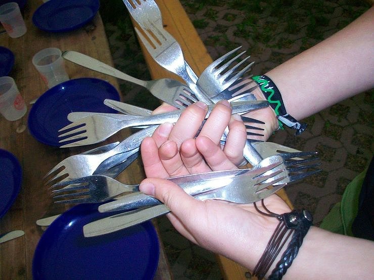 Camp-Tagebuch in der nnz