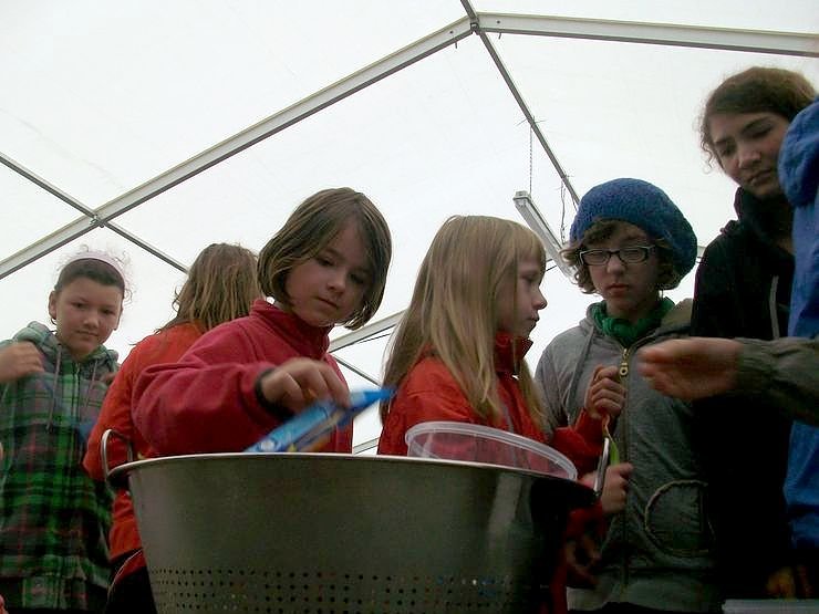 Camp-Tagebuch in der nnz