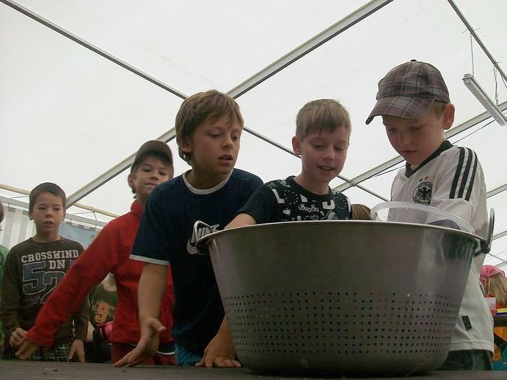 Camp-Tagebuch in der nnz