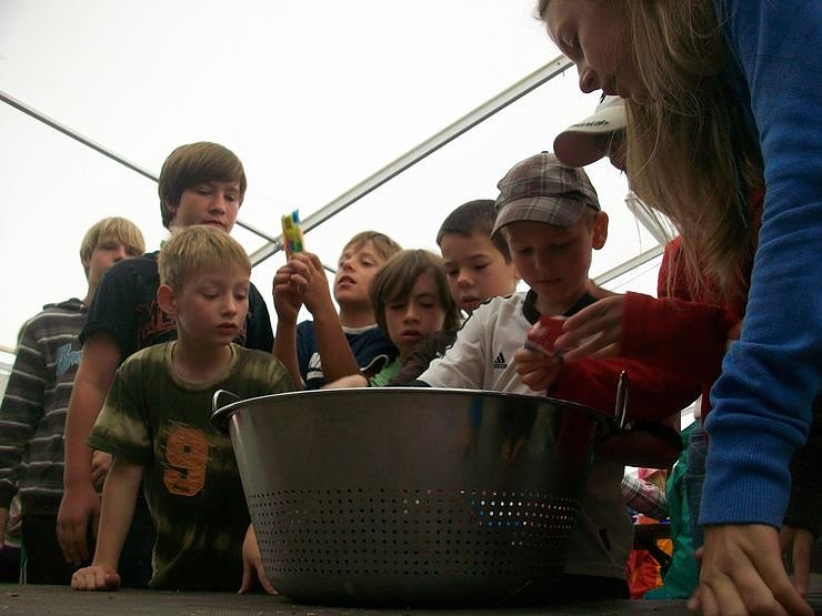 Camp-Tagebuch in der nnz