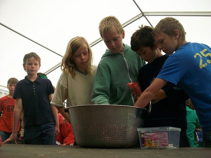 Camp-Tagebuch in der nnz