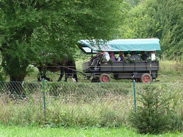 Hoffest in R&uuml;digsdorf
