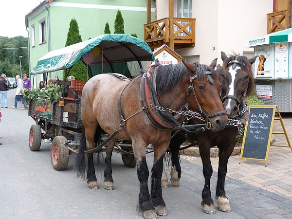 Hoffest in R&uuml;digsdorf