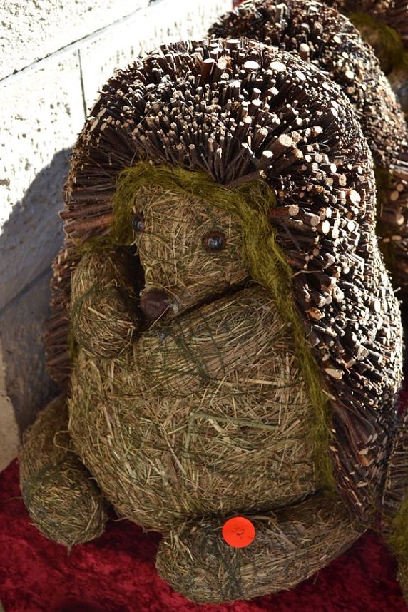 Unterwegs auf dem Markt