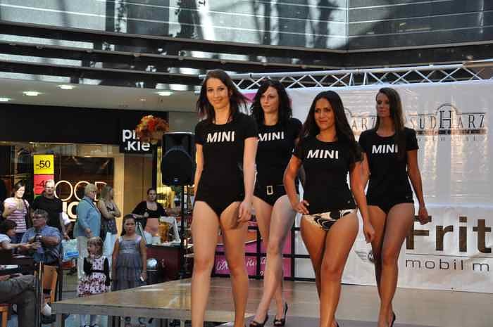 Miss & Mister S&uuml;dharz 2011