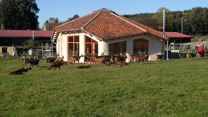 Ziegenalm Sophienhof