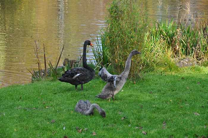Der Feiertag im Eichsfeld