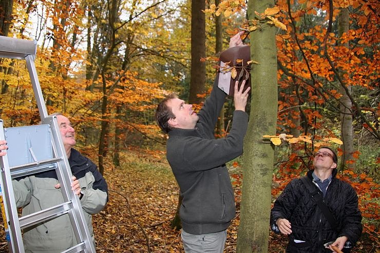 Schutz f&uuml;r den Siebenschl&auml;fer