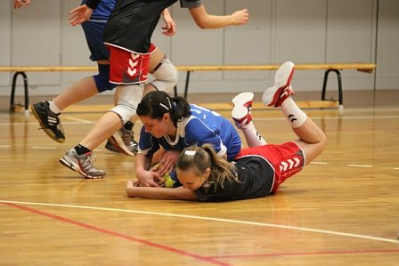 Handball-Ergebnisdienst