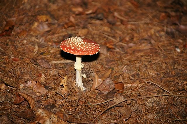 An der Neust&auml;dter Talsperre