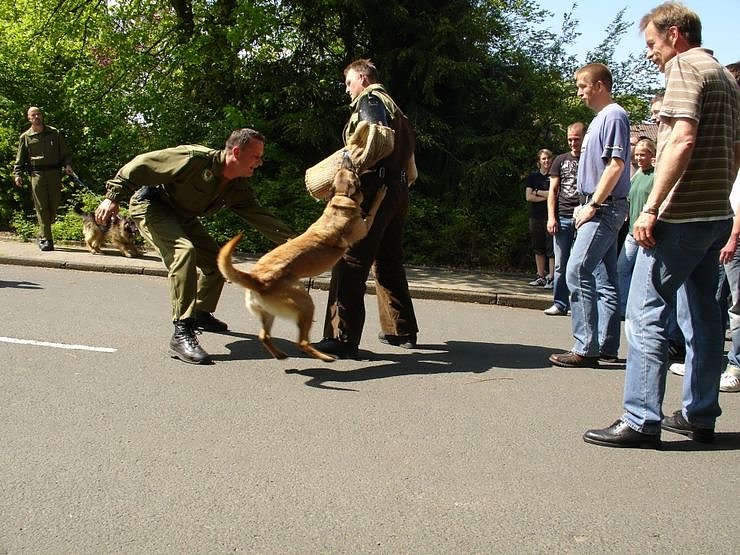 Gemeinsam ge&uuml;bt