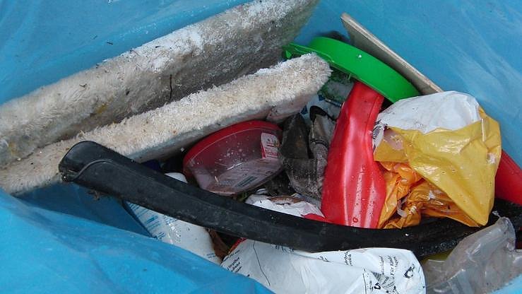 Wilde M&uuml;llkippen