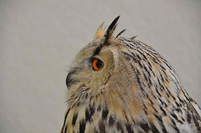 2.Th&uuml;ringer Fototage in Erfurt