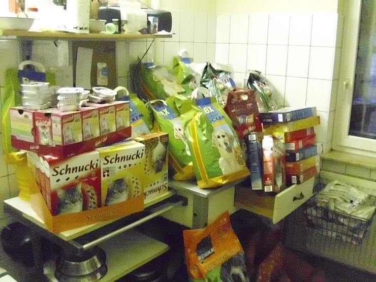 Weihnachten im Tierheim