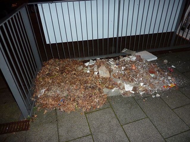 Glutnest in Laub und Unrat