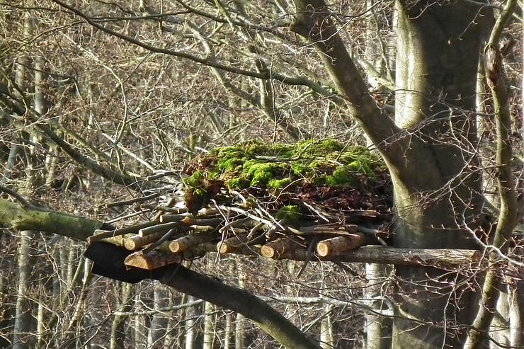 Kunsthorst f&uuml;r Storch