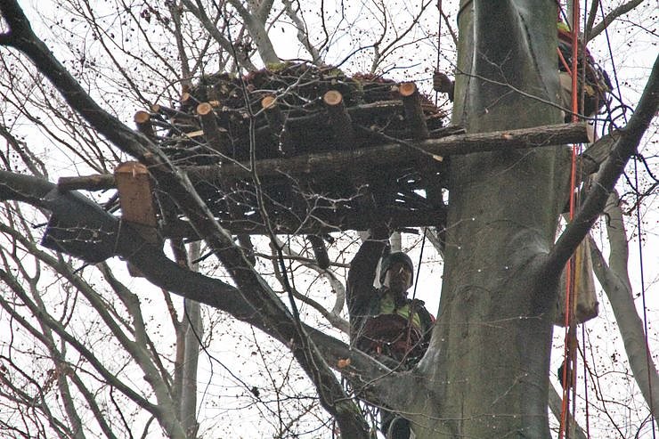 Kunsthorst f&uuml;r Storch