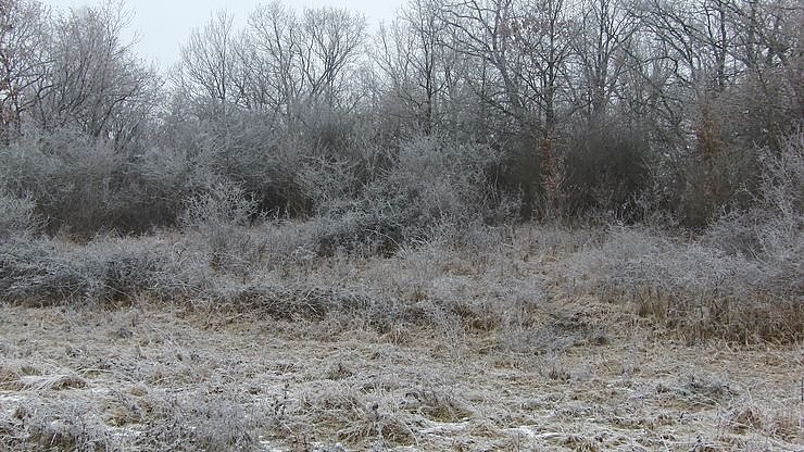 Im Einsatz f&uuml;r die Natur