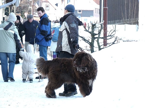 Ein Traum aus Eis und Schnee