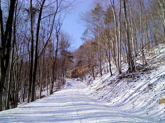 So sch&ouml;n kann Winter sein