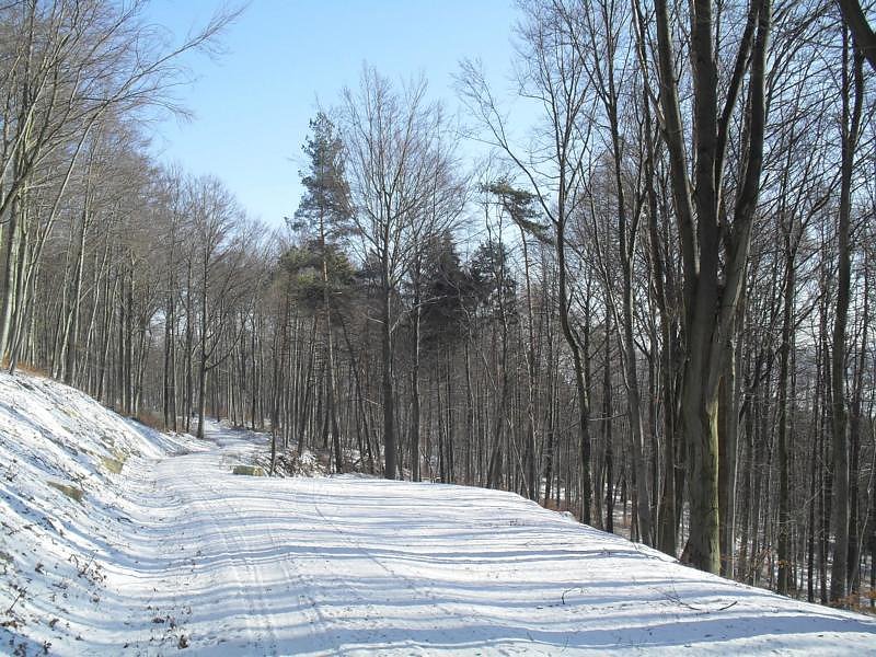So sch&ouml;n kann Winter sein