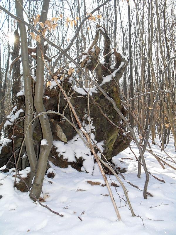 So sch&ouml;n kann Winter sein