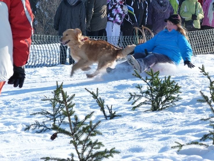 Skifasching in Tanne
