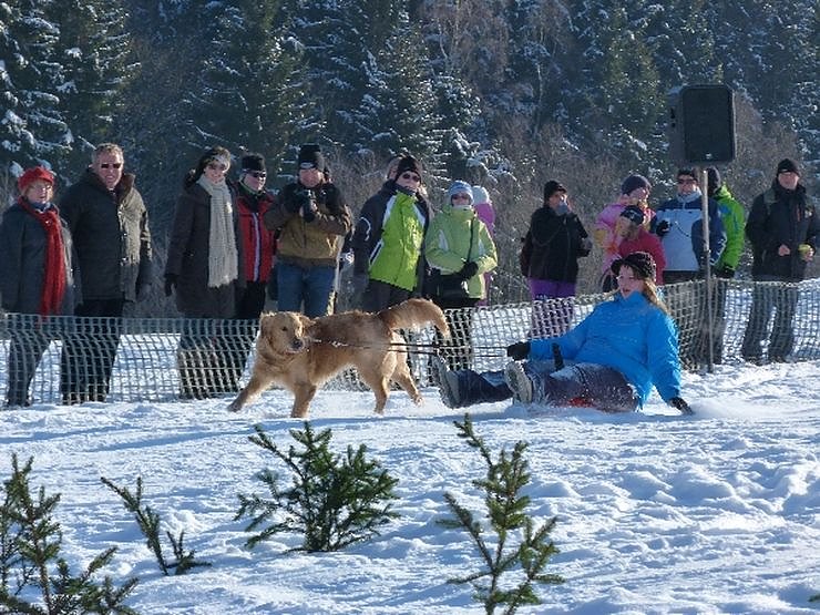 Skifasching in Tanne