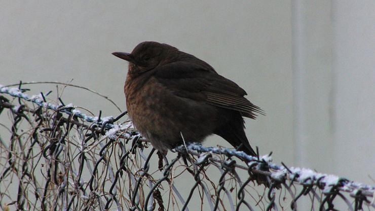 100 Kilometer unterwegs