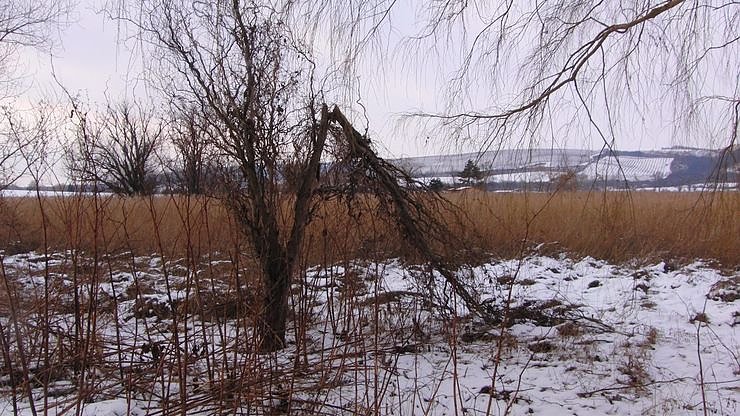 100 Kilometer unterwegs