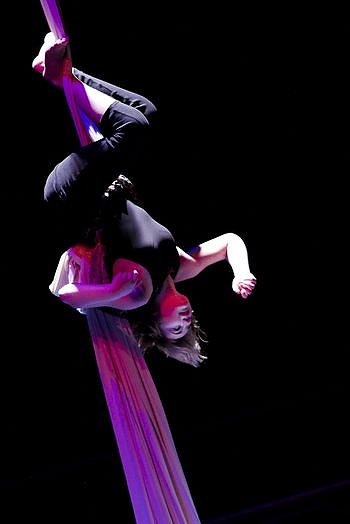 Karfunkel auf dem Dachboden