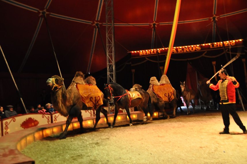 Zirkus Aeros in Nordhausen