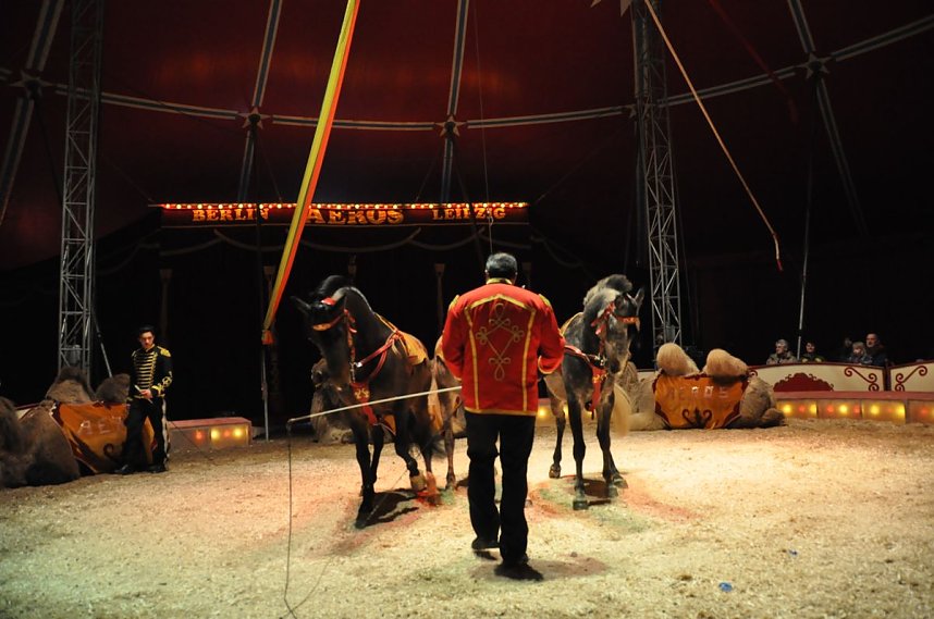 Zirkus Aeros in Nordhausen