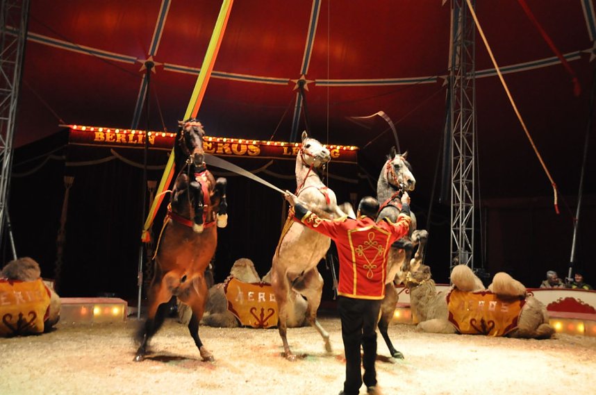 Zirkus Aeros in Nordhausen